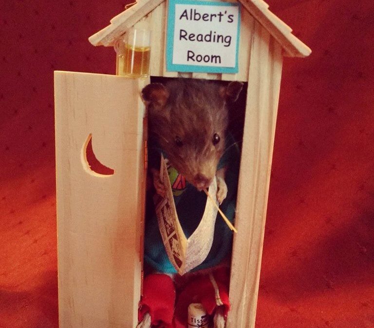 Albert’s in the outhouse