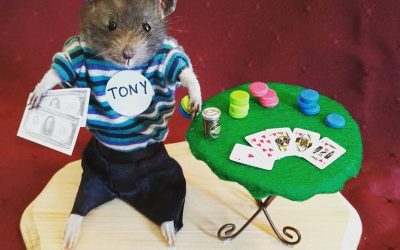 Poker Rat