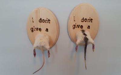 I don’t give a rats ass